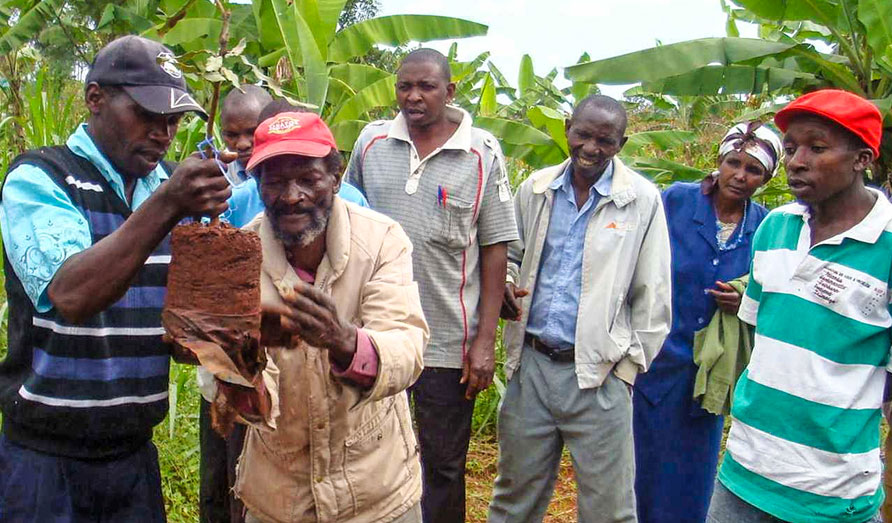 Local farmers with seedling