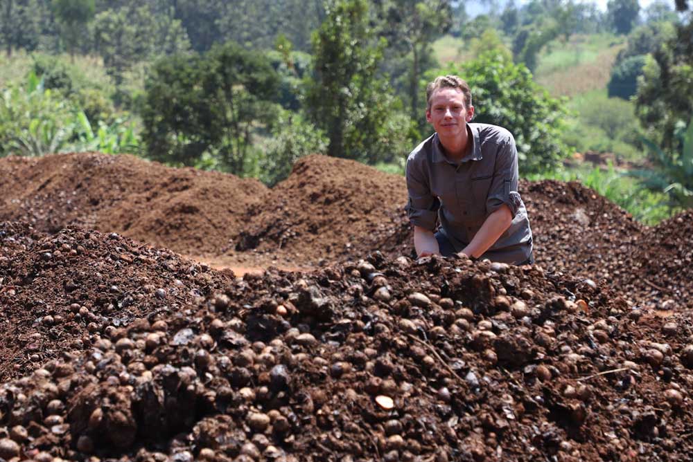 Avocado waste on compost