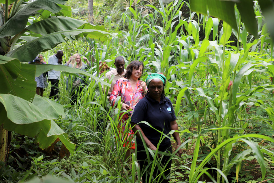 Organic mixed farm LIMBUA