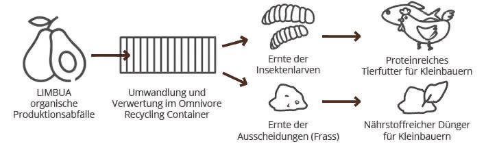 Abfallverwertung mittels Insekten