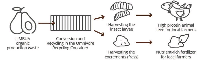 Waste recycling using insects