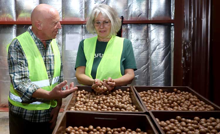 Rapunzel Gründer isnpiziert Macadamia Nüsse im Ursprung