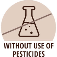 Pesticide free