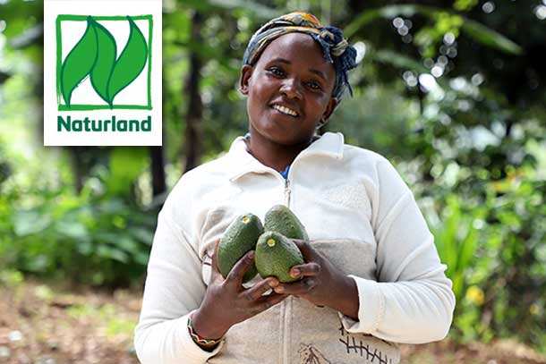 Naturland certification Kenya