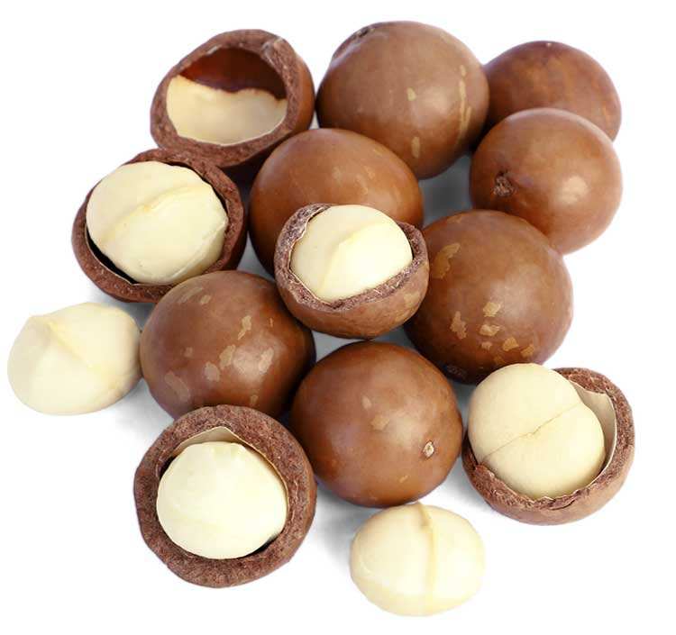 Wie gesund ist die Macadamia