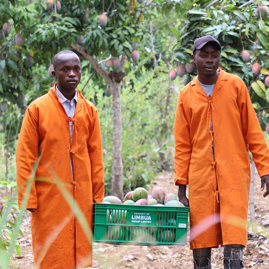 LIMBUA Einkauf-Teams für Mango